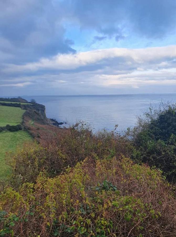 Jaw-Dropping Beach House In Anglesey 本莱赫 外观 照片